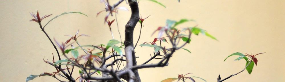 Tierarztpraxis Fercho Beilrode